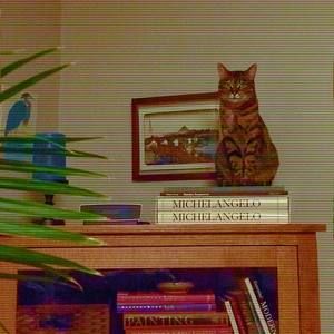 Meet your Posher, Cathy